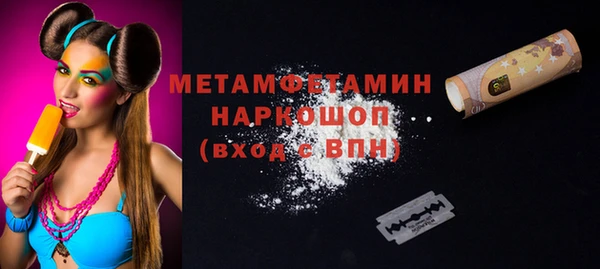 индика Котовск
