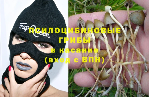 мяу мяу мука Лагань