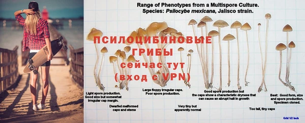 бошки Лабытнанги
